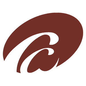 第16届巴特伊施尔国际合唱比赛暨音乐节